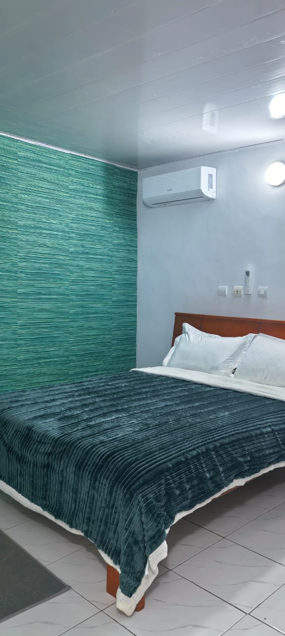 Chambre avec mur vert, climatiseur et couette verte foncée